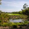 View of the 3rd green from The Preserve at Saltleaf Golf Preserve.