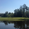 View of a green at Hernando Oaks Golf & Country Club