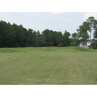 The approach to Cimarrone Golf Club's 12th hole requires a carry to the green, thanks to a sea of mounds.