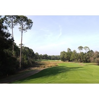 Rees Jones puts in plenty of challenge off the tee on the long par-4 fourth at Sandestin resort's Burnt Pine Golf Club.