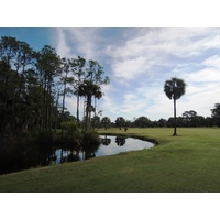 The par-4 seventh at Selva Marina Country Club plays around a lake and tall pines.